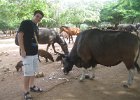 IMG 4368
