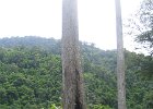 IMG 4451