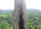 IMG 4452