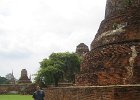 IMG 4494