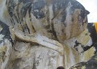 IMG 4502