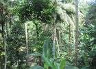 IMG 4603