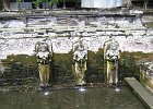 IMG 4604