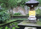IMG 4619