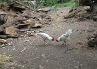IMG 4644