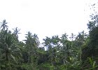 IMG 4646