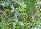 IMG 4647