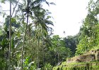IMG 4648