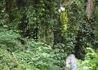 IMG 4651