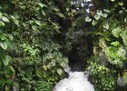 IMG 4652