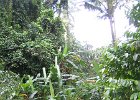 IMG 4656