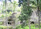 IMG 4658