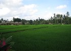 IMG 4659