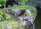 IMG 4660