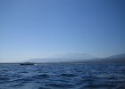 IMG 4666