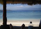 IMG 4669