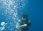 IMG 4680