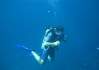 IMG 4681