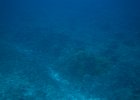 IMG 4687