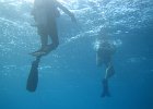 IMG 4688