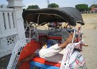 IMG 4705