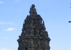 IMG 4754