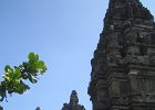 IMG 4756
