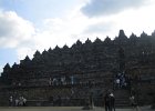 IMG 4767