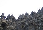 IMG 4772