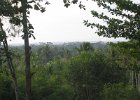 IMG 4774