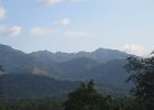 IMG 4775