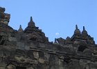 IMG 4778