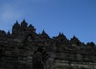 IMG 4779