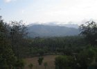 IMG 4780