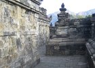 IMG 4781