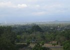 IMG 4782