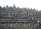 IMG 4806