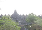 IMG 4809