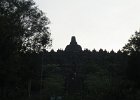IMG 4810