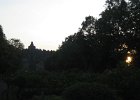 IMG 4812