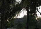 IMG 4813