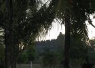 IMG 4814