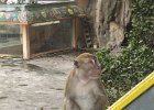 IMG 4825