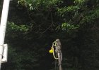 IMG 4826