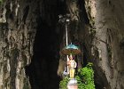 IMG 4829