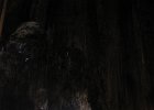 IMG 4831