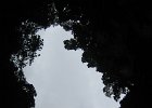 IMG 4832