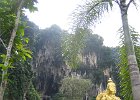 IMG 4840