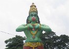 IMG 4841