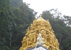 IMG 4842
